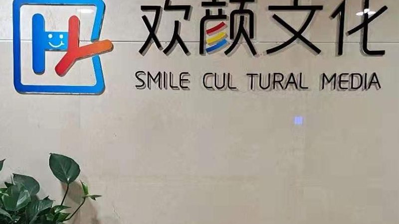 企业VI设计流程步骤解析：打造品牌形象的关键步骤